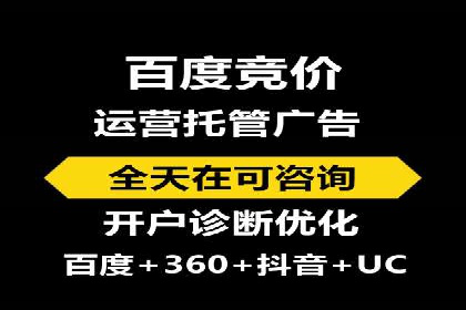 行业领先企业的sem竞价策略：成功案例剖析